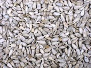 Sunflower Hearts 1kg